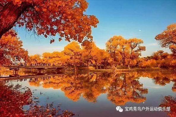 【每日一学】《中国共产党党校（行政学院）工作条例》（五）